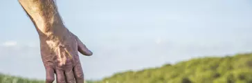 Farmer running his hand through his crops to check them.